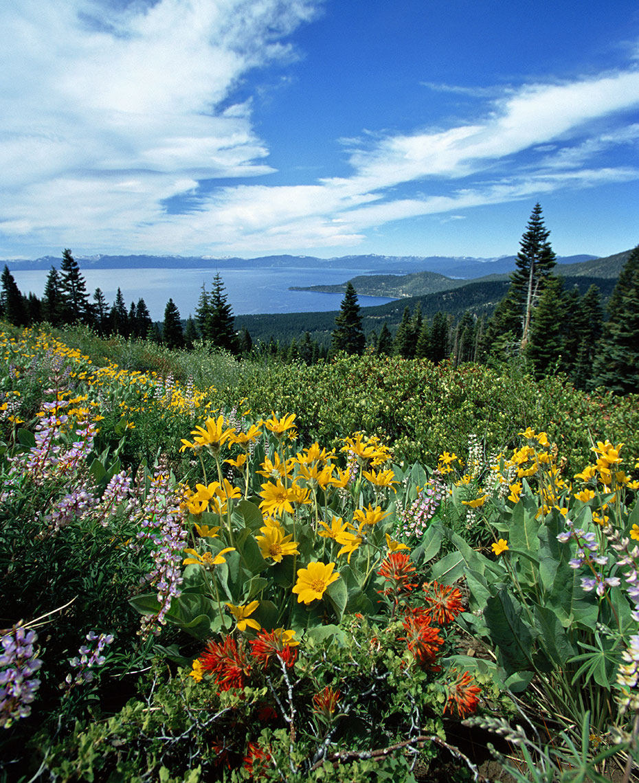 Lake Tahoe Photographers